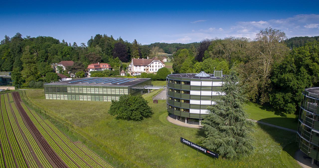 Hotel Centre Loewenberg Murten Esterno foto